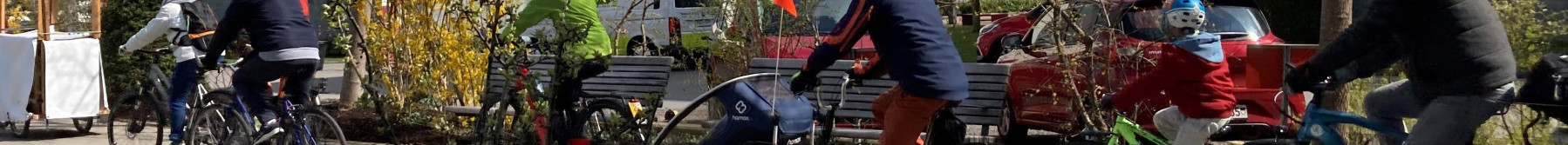 26_veloparade_fr_rm_medium.jpg