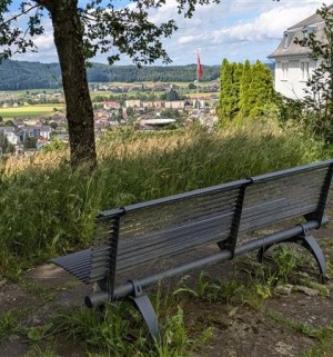 zofingenregio_small.jpg