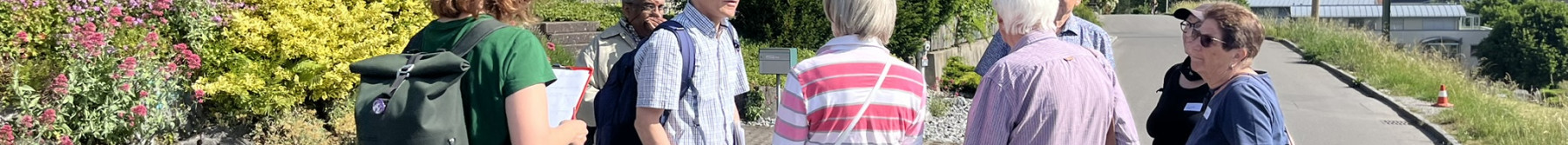 img_2639_medium.jpeg