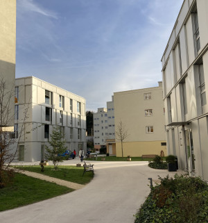 p1176_fondation4marroniers_small.jpeg