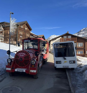 saas-fee_bfm_small.jpg